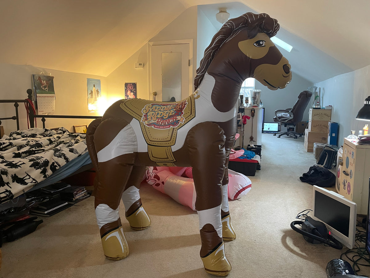 Vbs lifeway pony content