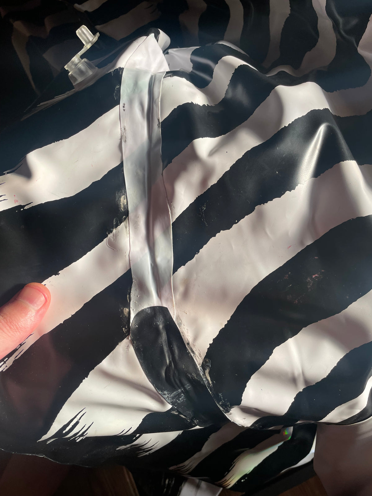 Vintage lifelike zebra