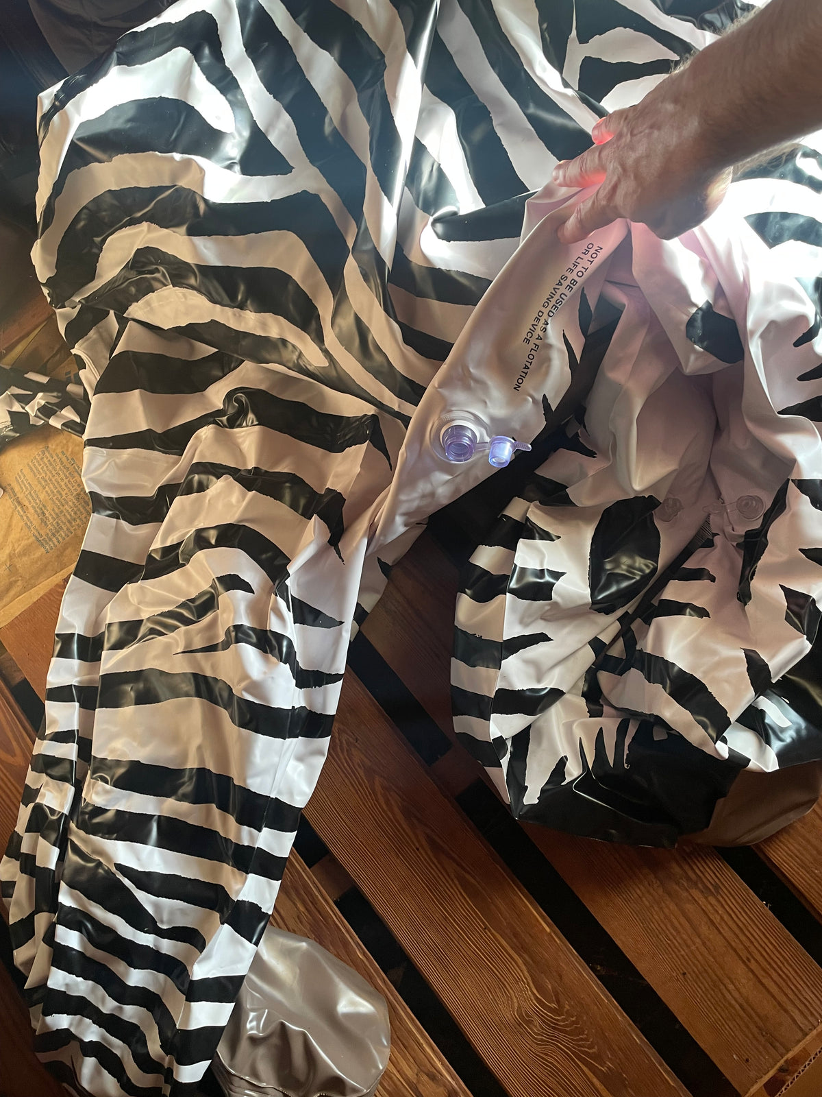 Vintage lifelike zebra