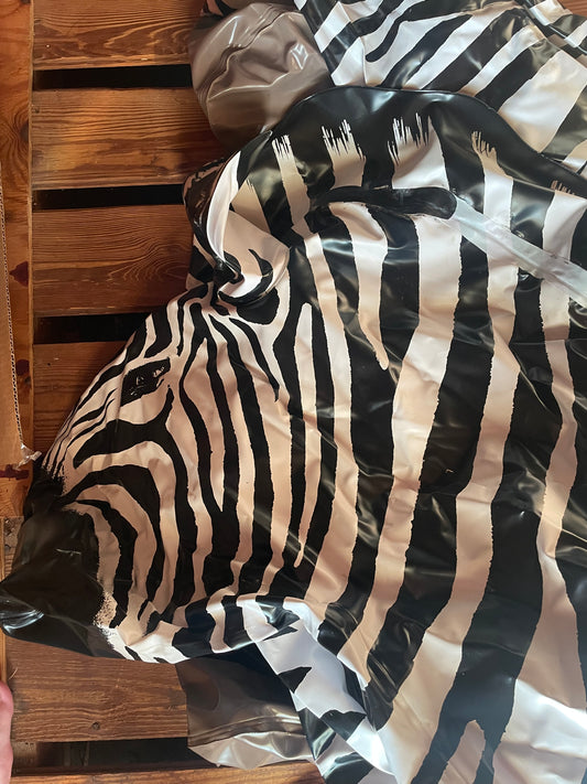 Vintage lifelike zebra