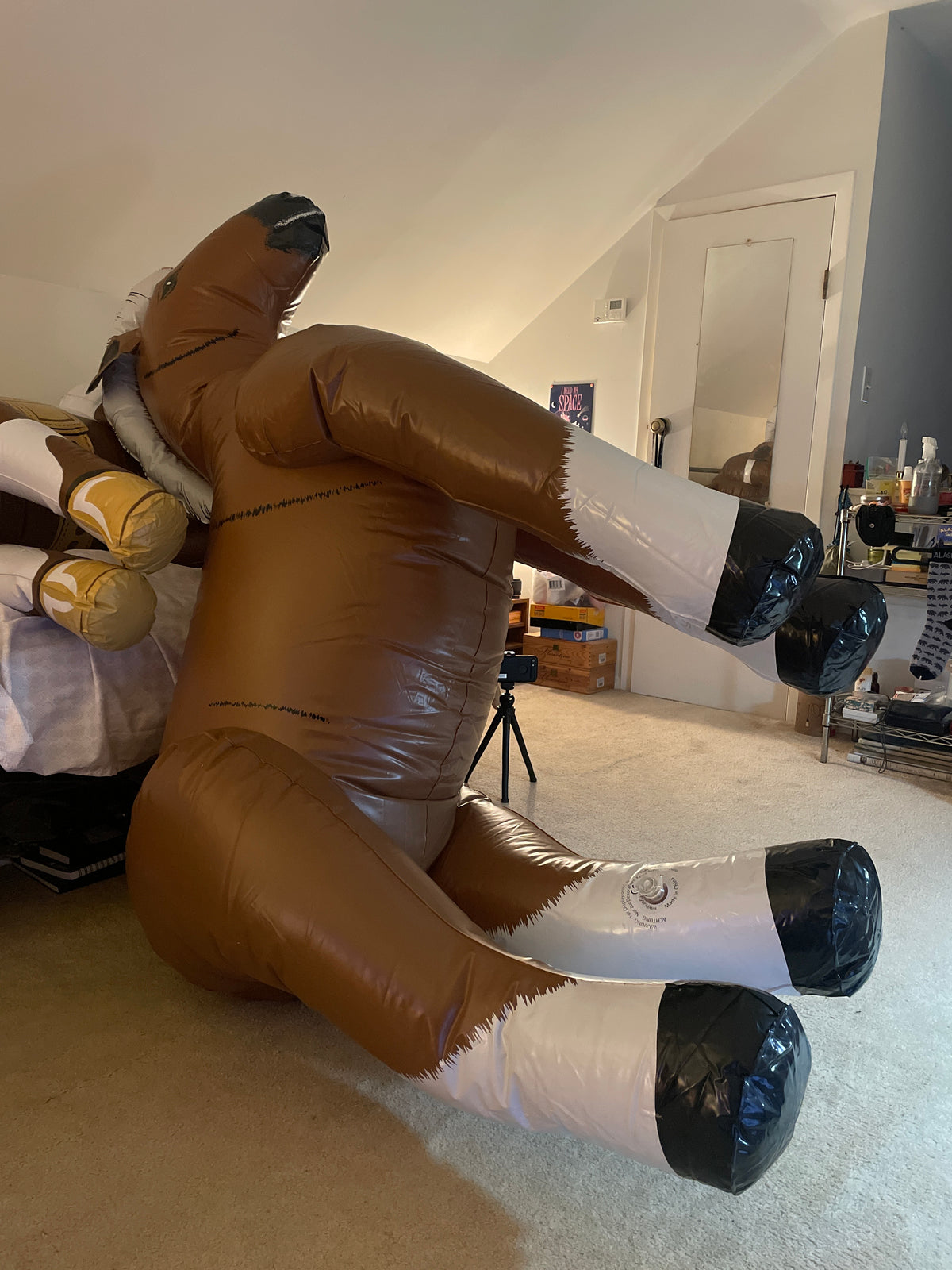 Iw classic horse vids